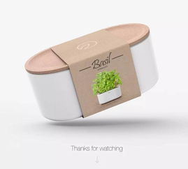 軟木藝術(shù) 文藝新風尚與文化交融的橋梁